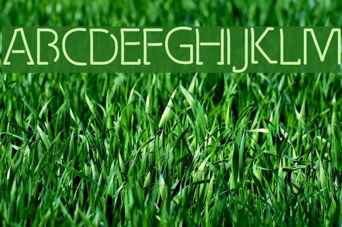 Spongy Thinsville Font examples