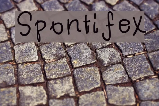 Spontifex Example 1