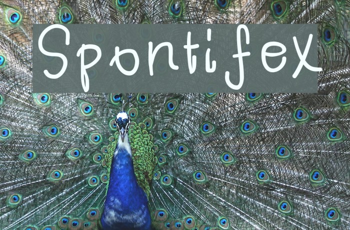 Spontifex Font examples