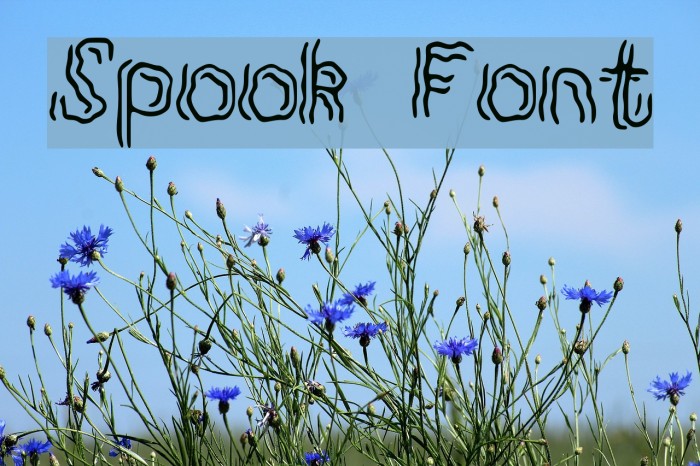 Spook Font examples