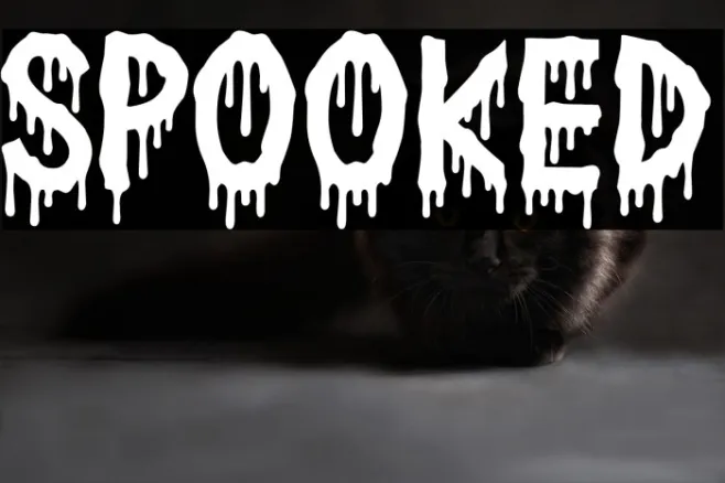 Spooked Example 2