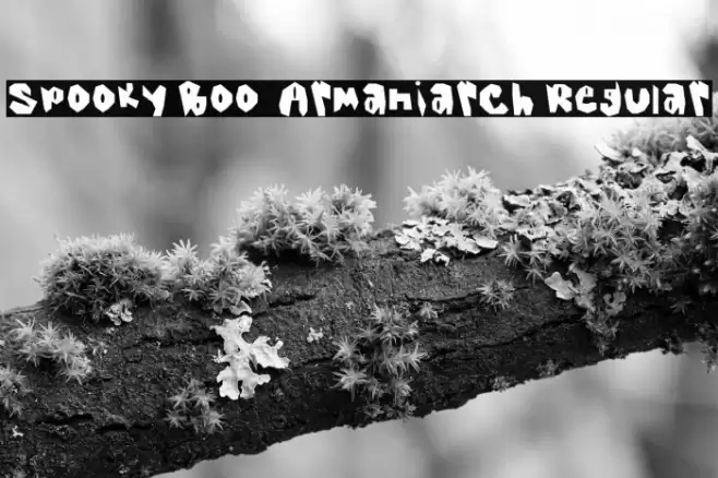 Spooky Boo _ Armaniarch Regular Fonte examples