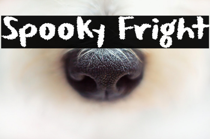 Spooky Fright Example 1