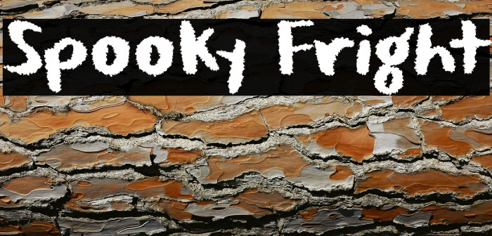 Spooky Fright Example 3