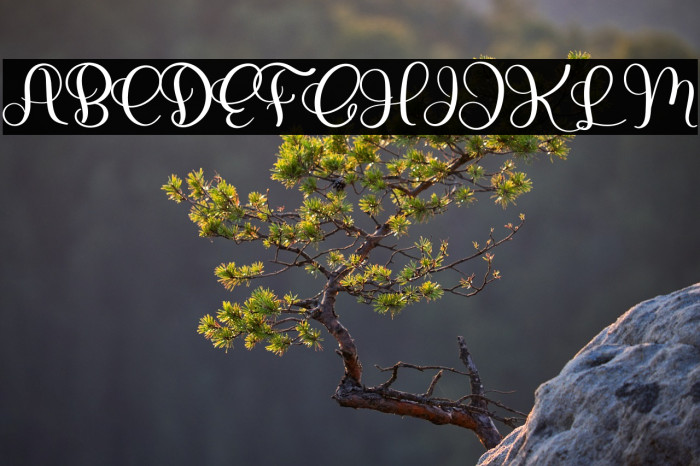 Spooky Garden Example 1