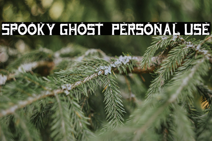 Spooky Ghost - Personal Use Example 1