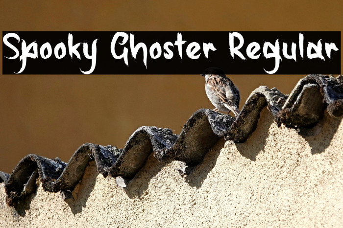 Spooky Ghoster Regular Example 3