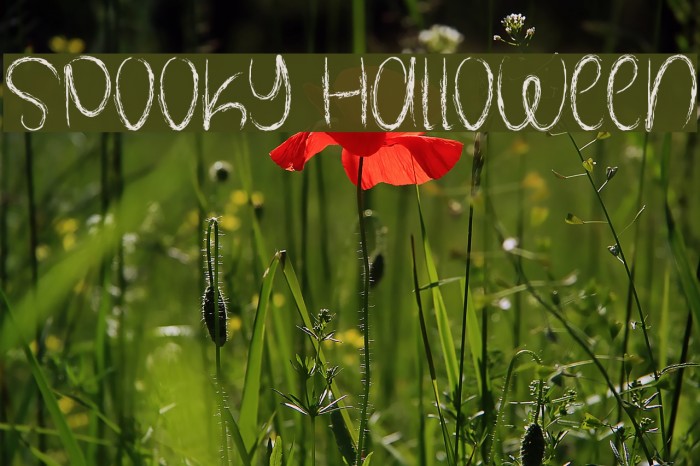 Spooky Halloween フォント examples