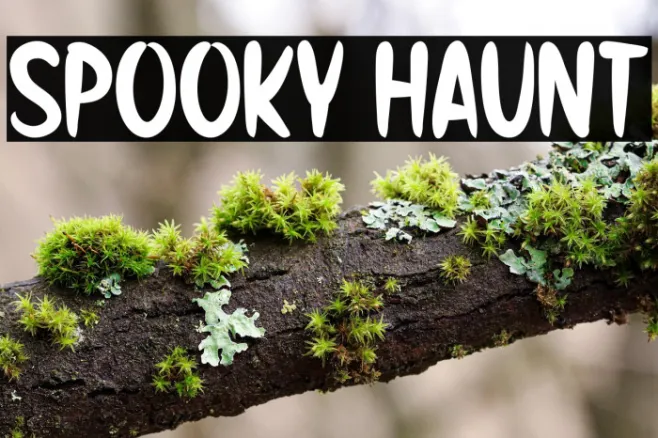 Spooky Haunt Example 3