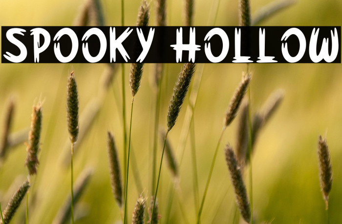 Spooky Hollow Example 1