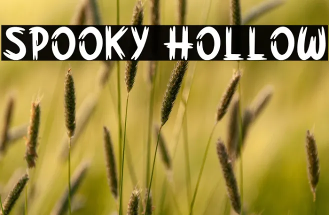 Spooky Hollow Example 1