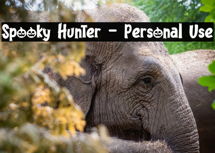 Spooky Hunter - Personal Use Example 2