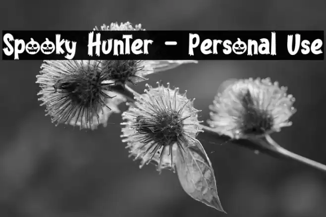 Spooky Hunter - Personal Use Font examples