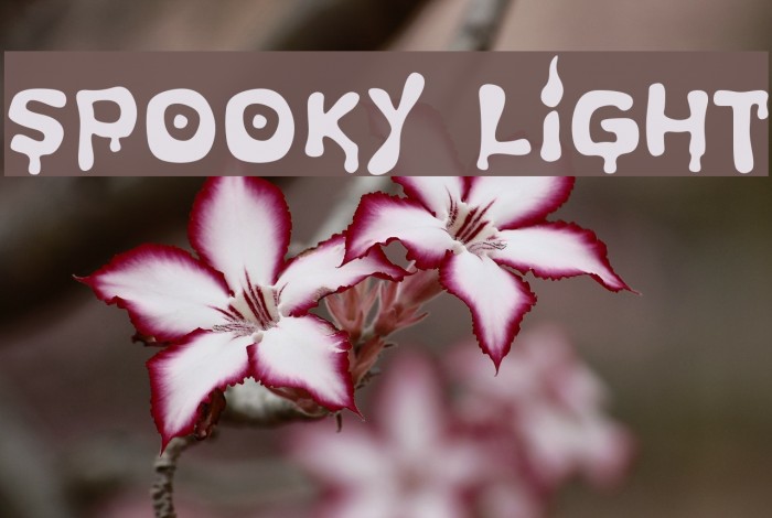 Spooky Light Font examples