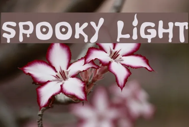 Spooky Light Example 2