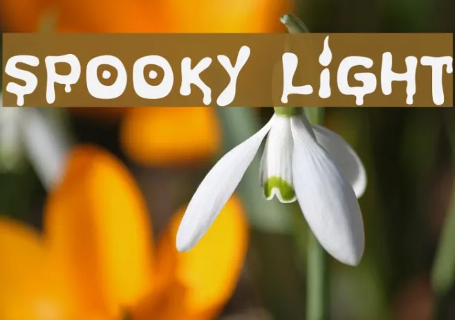 Spooky Light Example 3