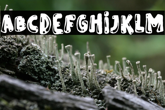 Spooky Lucky Hole Example 2