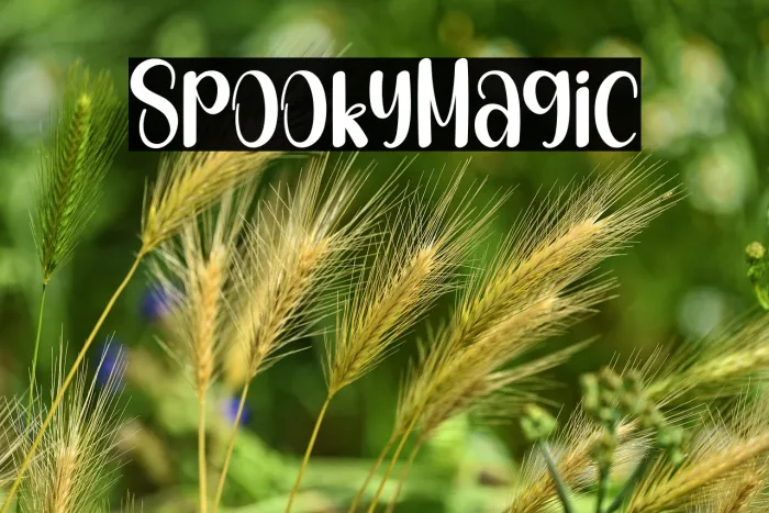 Spooky Magic Example 2