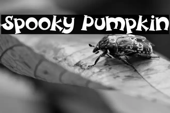 Spooky Pumpkin Font examples