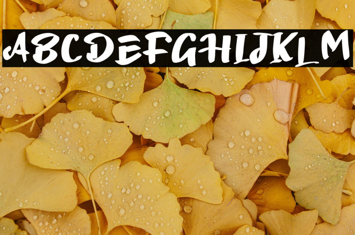 Spooky Seloso Kliwon Example 1