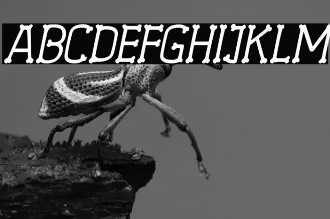 Spooky Skeleton Italic Font examples