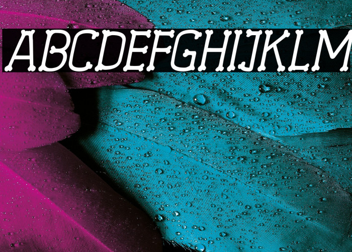 Spooky Skeleton Italic Example 3