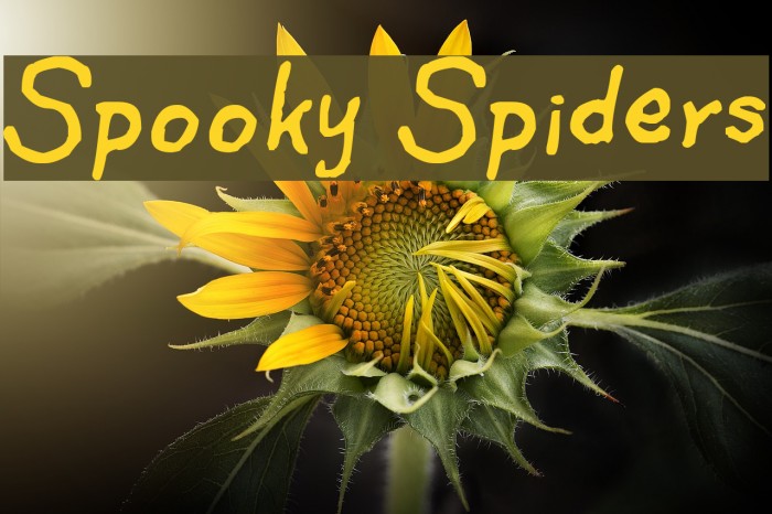 Spooky Spiders Font examples