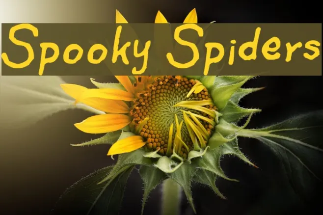 Spooky Spiders Example 1