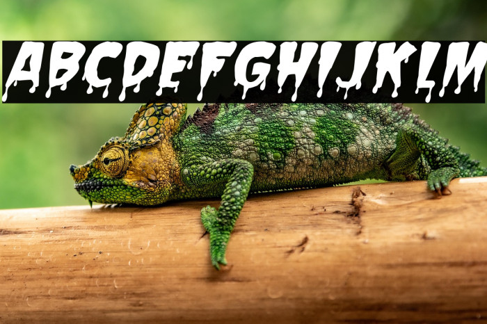 Spooky Stories Italic Example 2