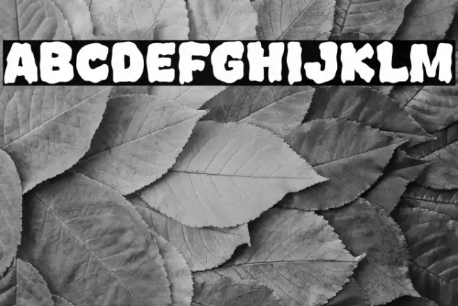 Spooky Theme 字体 examples