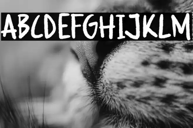 Spooky Whisper Demo Font examples