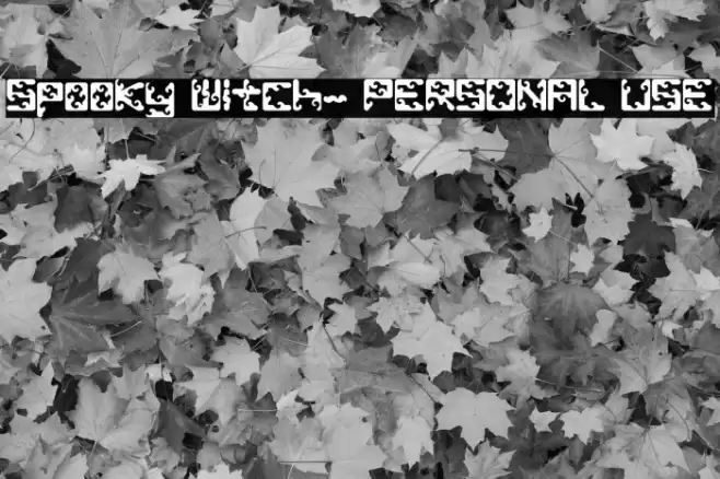 Spooky Witch- PERSONAL USE Polices examples