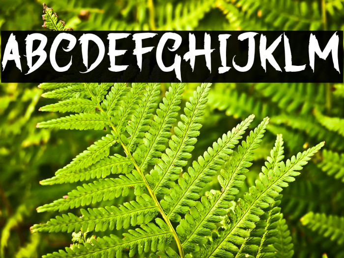 SpookyGhoster-Regular Example 3