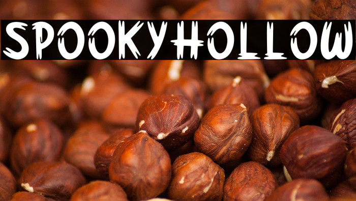 SpookyHollow Example 2