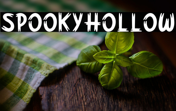 SpookyHollow Example 3