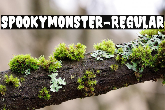 SpookyMonster-Regular Example 3