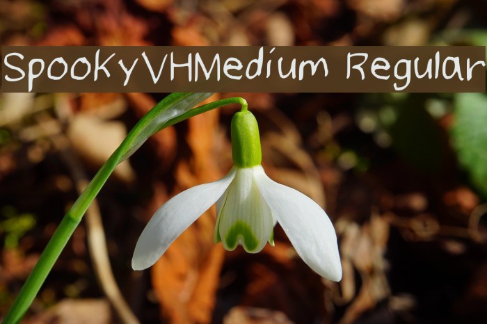 SpookyVHMedium Regular Example 2