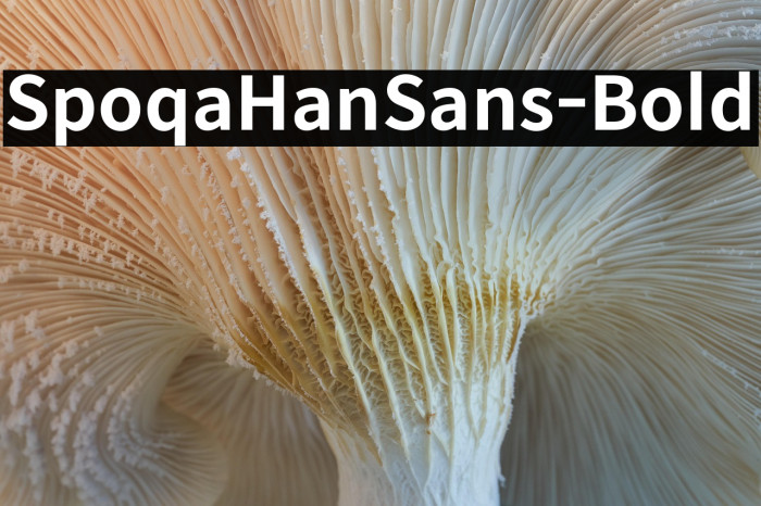 SpoqaHanSans-Bold Example 1