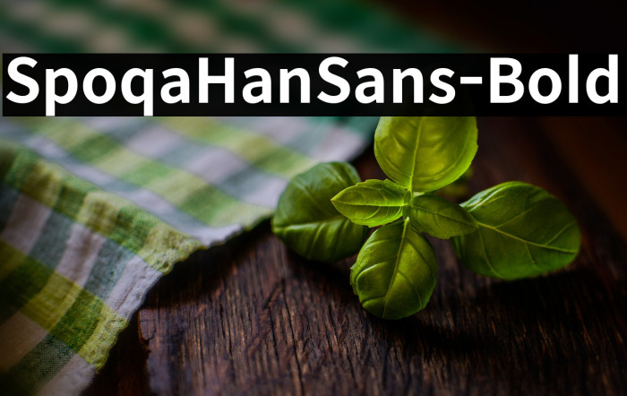 SpoqaHanSans-Bold Example 2