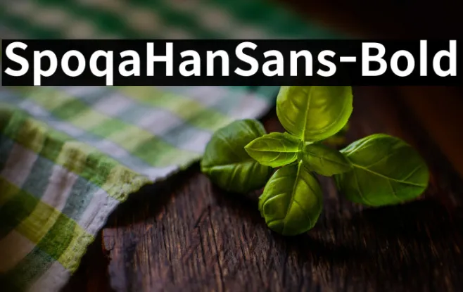 SpoqaHanSans-Bold Example 2