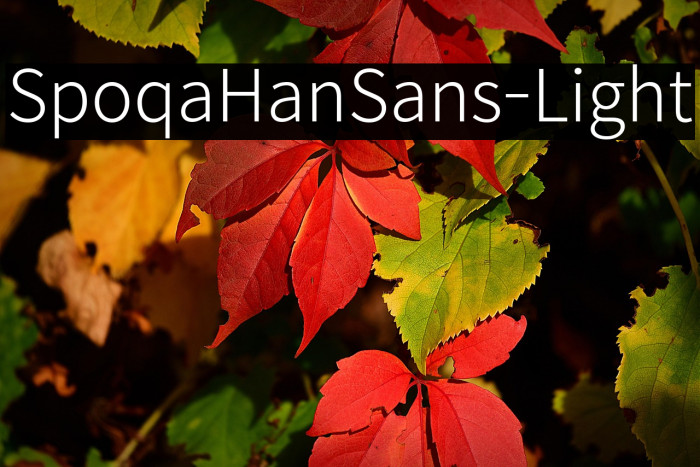 SpoqaHanSans-Light Example 1
