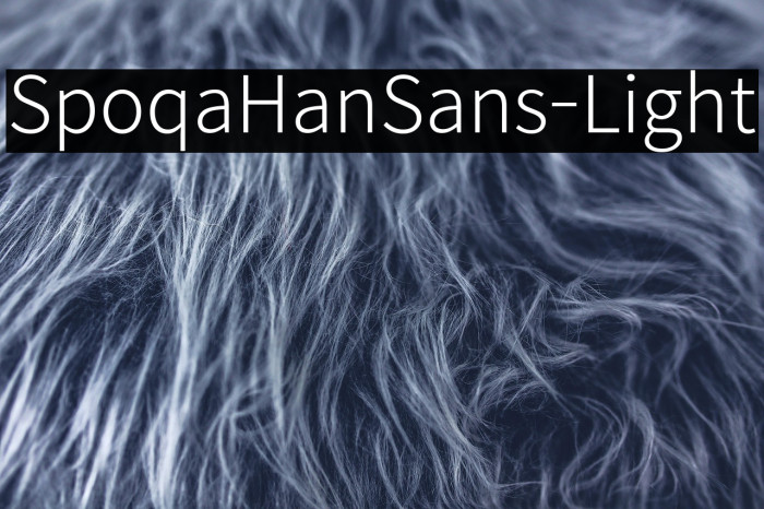 SpoqaHanSans-Light Example 2