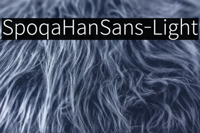 SpoqaHanSans-Light Example 2