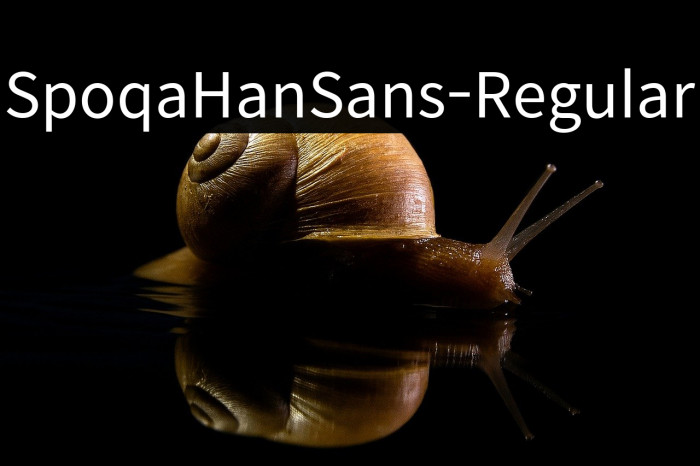 SpoqaHanSans-Regular Example 2