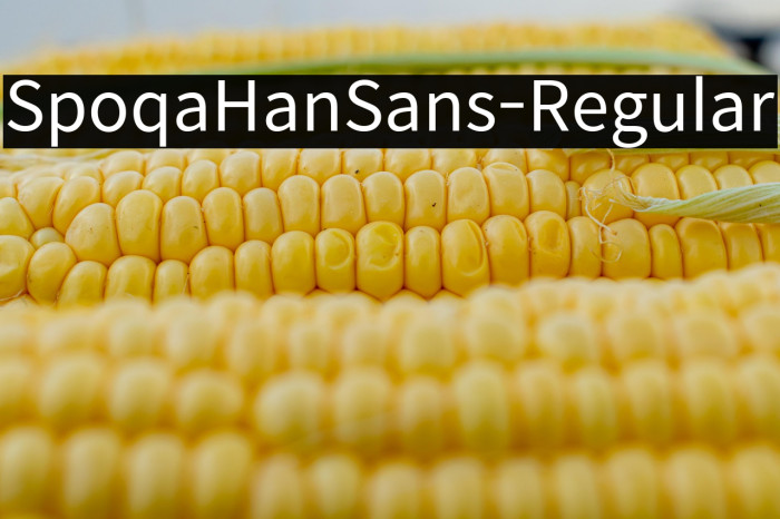 SpoqaHanSans-Regular Example 3