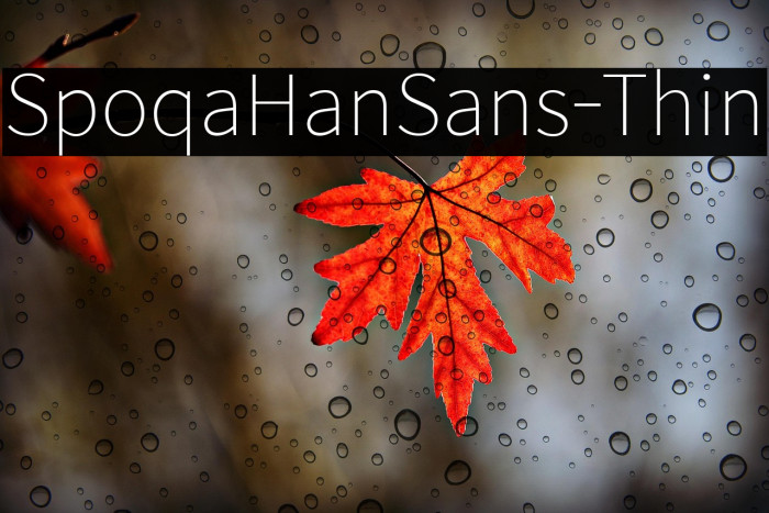 SpoqaHanSans-Thin Example 2