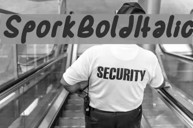SporkBoldItalic Font examples
