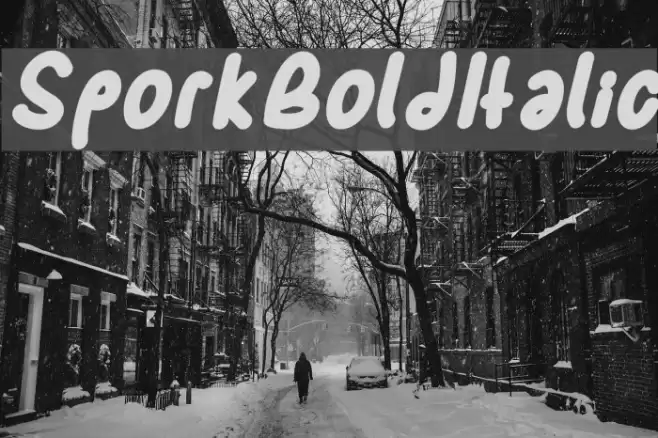 SporkBoldItalic Font examples