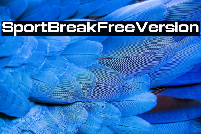 Sport Break Free Version Example 3