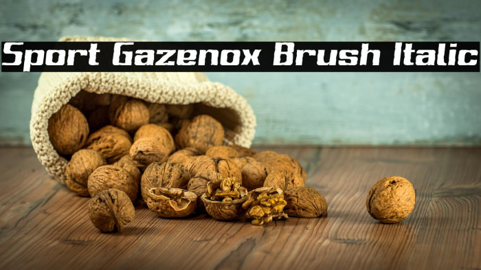 Sport Gazenox Brush Italic Example 1